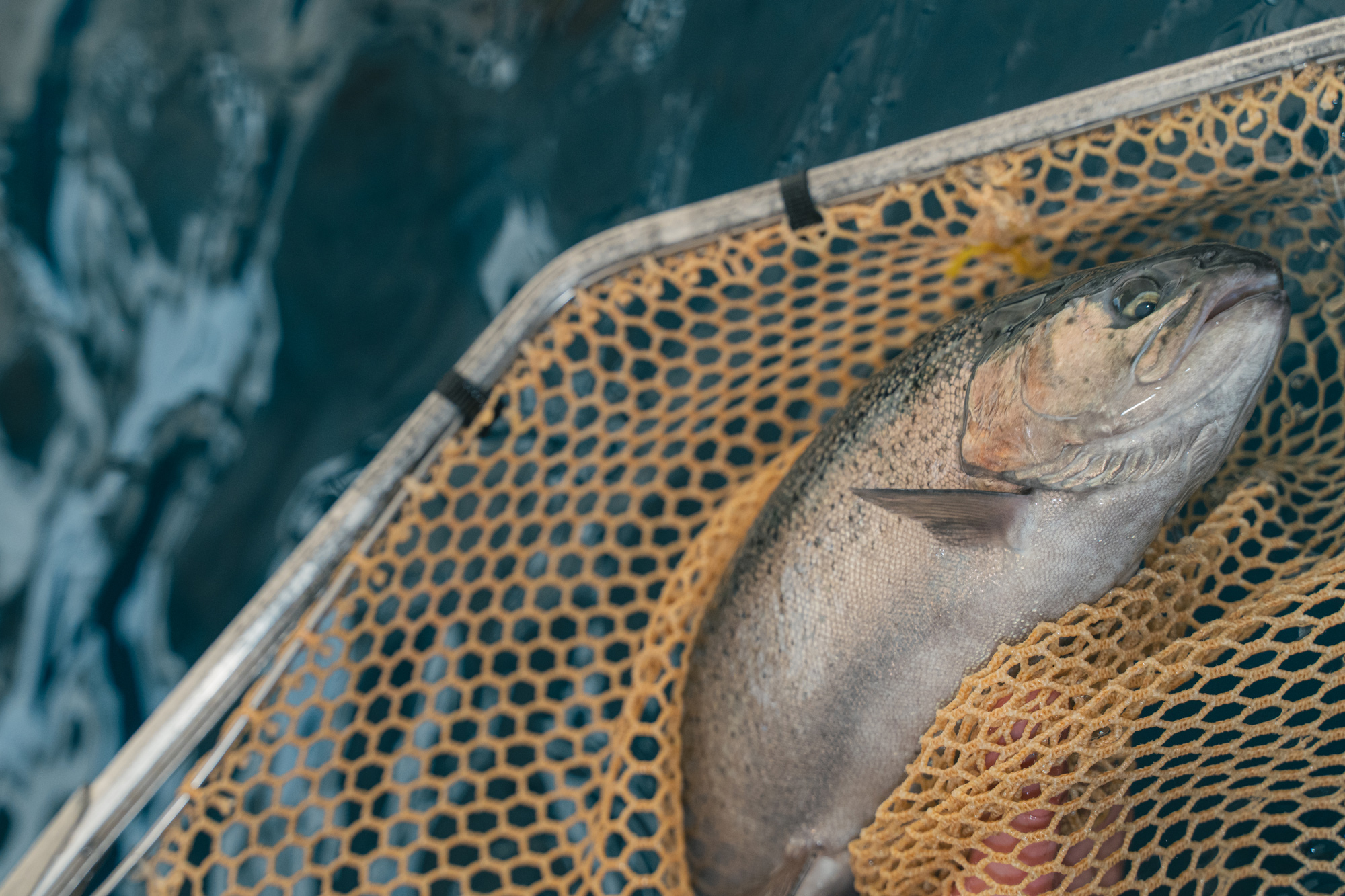 image de fond - https://www.eauzons.fr/wp-content/uploads/2025/11/logo_eauzons_vertical.svg